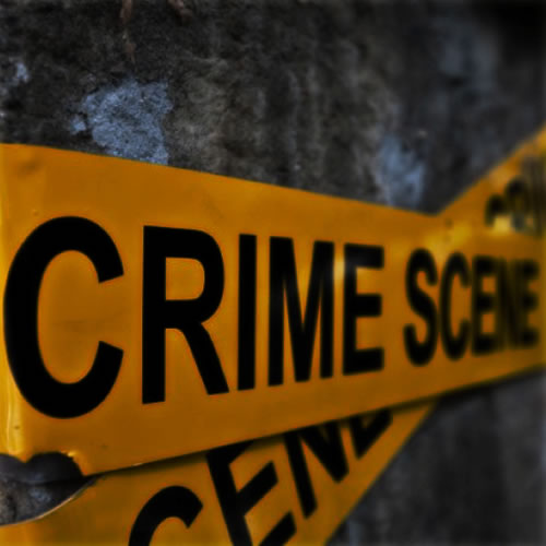 Criminal Investigation